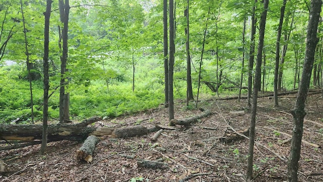 46-2 Rte 153, Middleton, NH 03887
