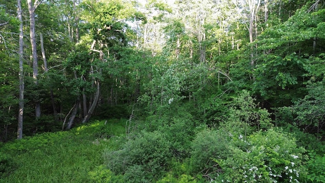 46-2 Rte 153, Middleton, NH 03887