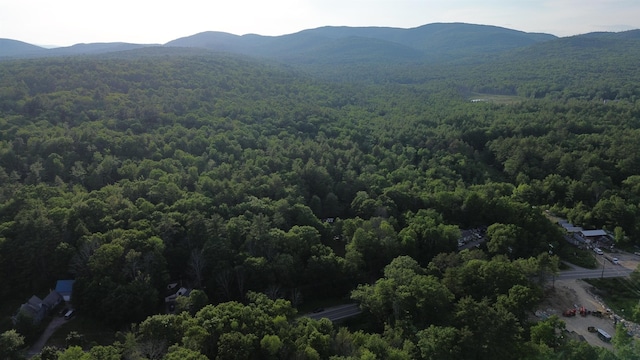 46-2 Rte 153, Middleton, NH 03887