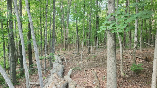 46-2 Rte 153, Middleton, NH 03887