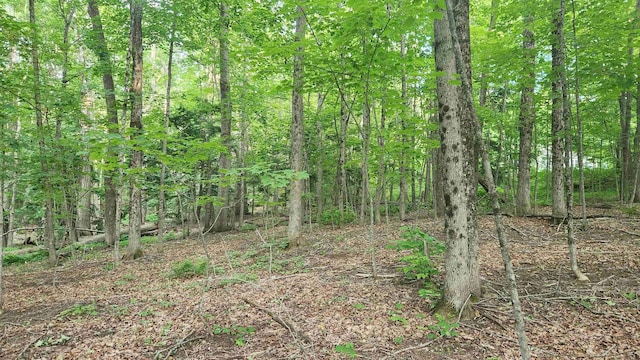 46-2 Rte 153, Middleton, NH 03887