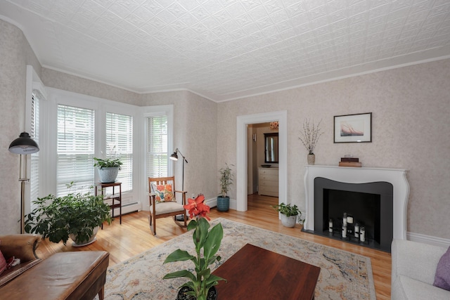 42 Lyndon St, Concord, NH 03301 - living area featuring wood finished floors, baseboard heating, crown molding, and an ornate ceiling