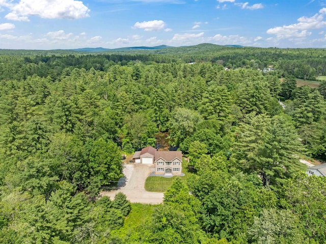 70 Riverside Dr, Allenstown, NH 03275 - view of subject property with a forest