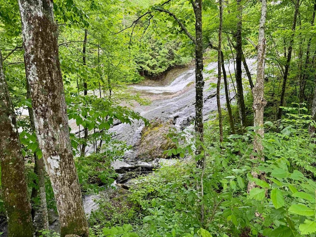 14 Threshold Way, Corinth, VT 05040 - view of woods