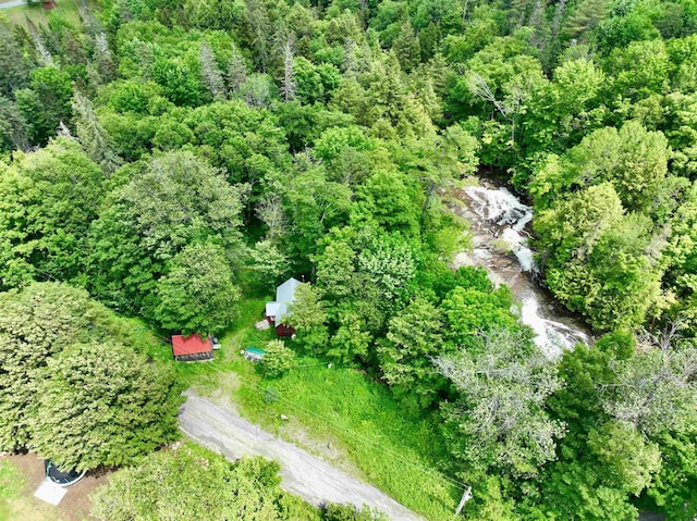 14 Threshold Way, Corinth, VT 05040 - view of property location featuring a forest
