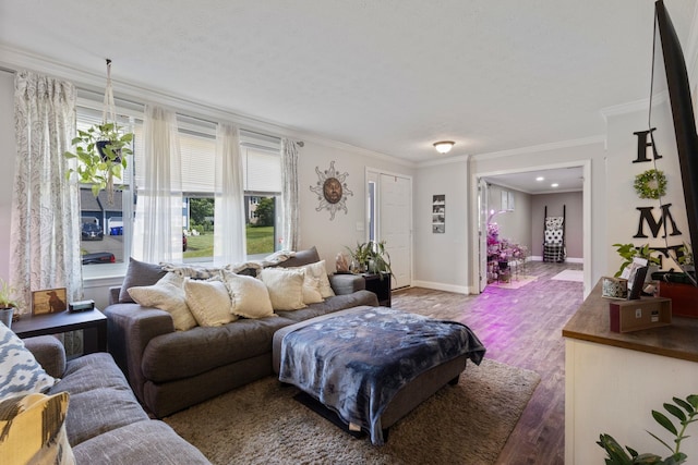 13 Rangers Dr Unit B, Hudson, NH 03051 - living area with wood finished floors and ornamental molding