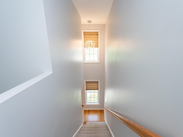 70B Shadowbrook Dr Unit 70B, Hudson, NH 03051 - stairs featuring baseboards