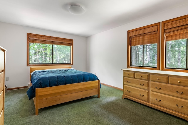 49 Longwood Dr, Grantham, NH 03753 - bedroom featuring multiple windows and carpet flooring