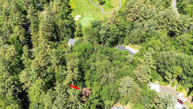 49 Longwood Dr, Grantham, NH 03753 - aerial view