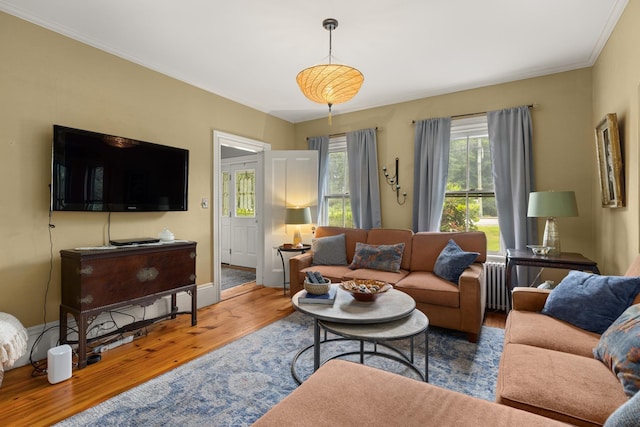223 Atlantic Ave, North Hampton, NH 03862 - living area with wood finished floors, ornamental molding, and radiator