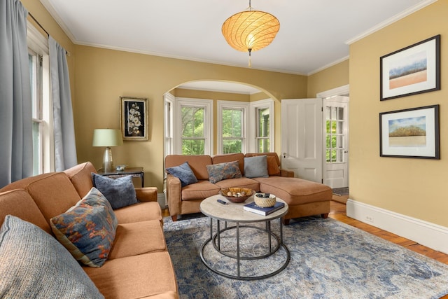 223 Atlantic Ave, North Hampton, NH 03862 - living room featuring arched walkways, crown molding, and wood finished floors