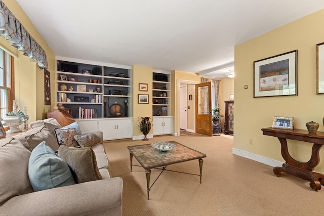 223 Atlantic Ave, North Hampton, NH 03862 - living area with carpet floors and built in features
