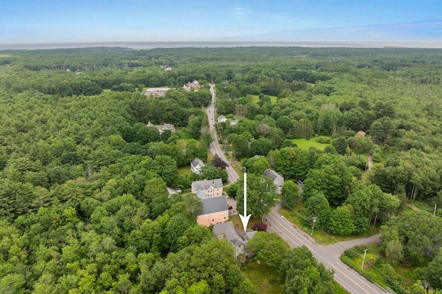 223 Atlantic Ave, North Hampton, NH 03862 - aerial view of a forest