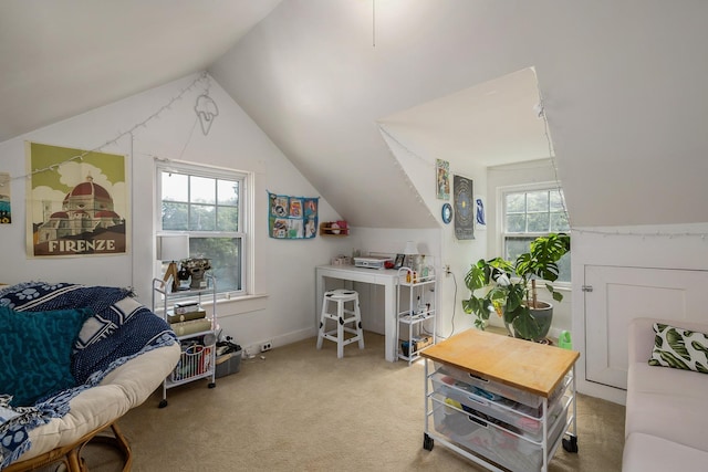 96 Madbury Rd, Durham, NH 03824 - office space featuring vaulted ceiling and carpet