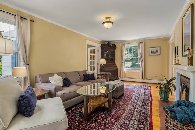 96 Madbury Rd, Durham, NH 03824 - living room with light wood-style floors, ornamental molding, a fireplace with flush hearth, and baseboard heating