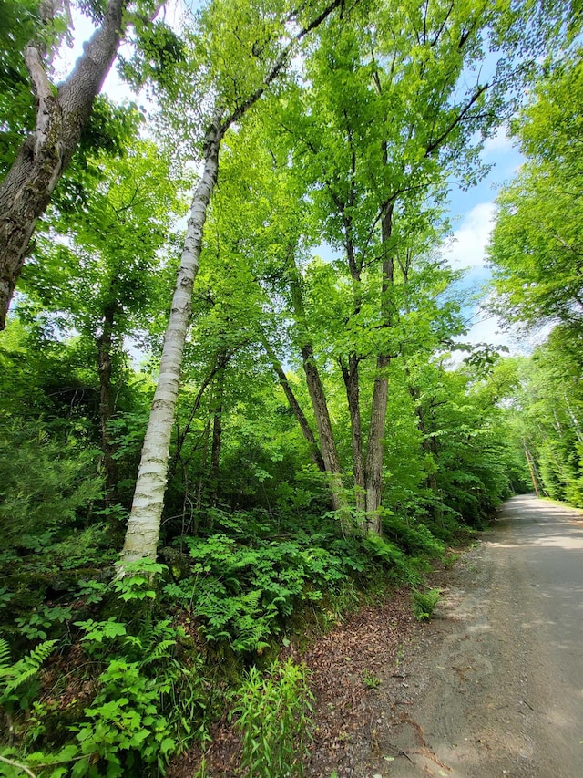 000 Blake Rd, Sugar Hill, NH 03586