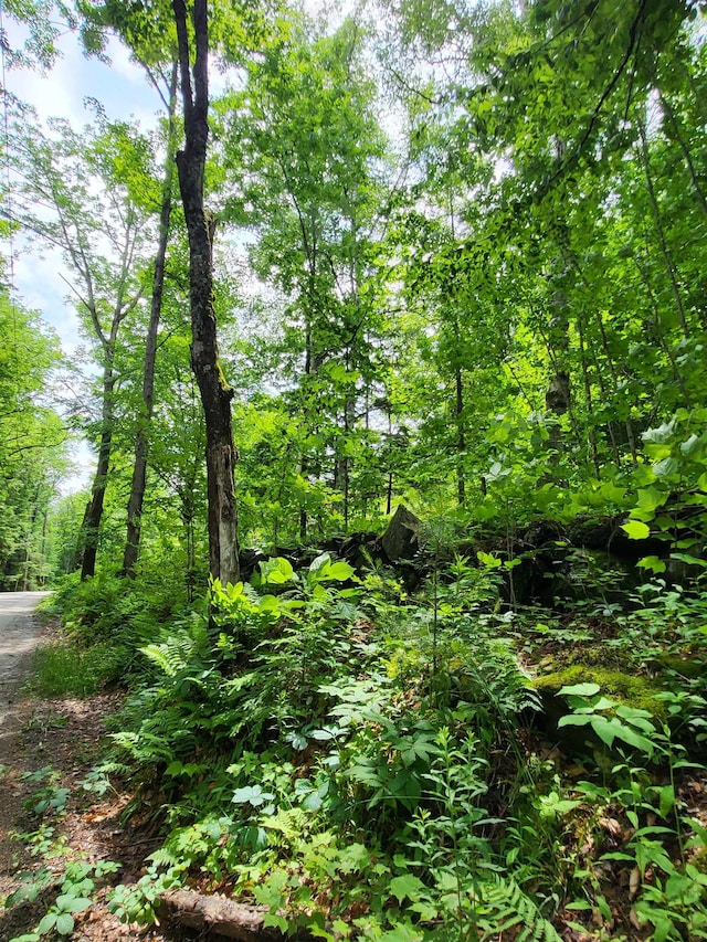 000 Blake Rd, Sugar Hill, NH 03586