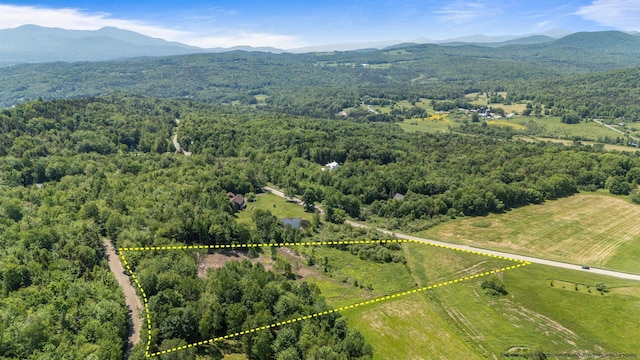 251 White Birch Rd, Morristown, VT 05661