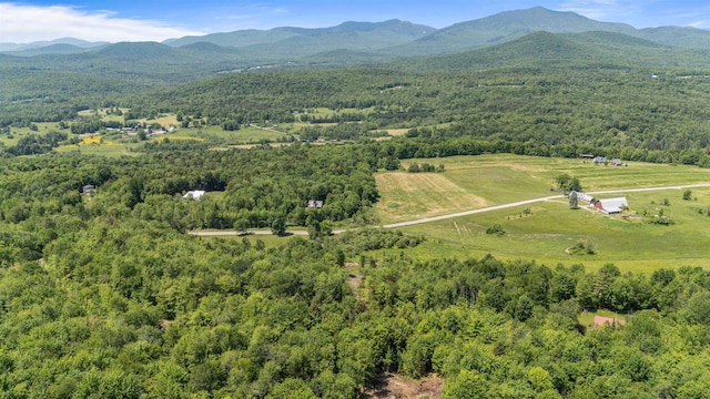 251 White Birch Rd, Morristown, VT 05661