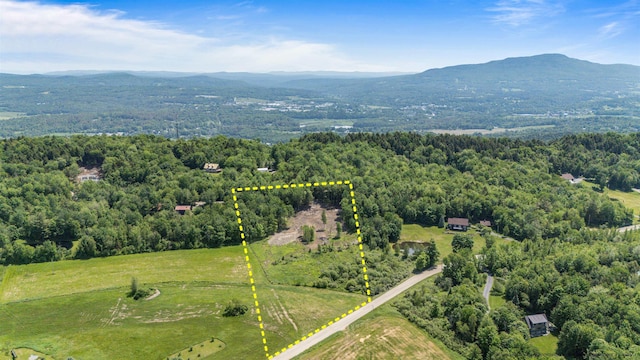 251 White Birch Rd, Morristown, VT 05661