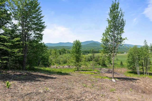 251 White Birch Rd, Morristown, VT 05661