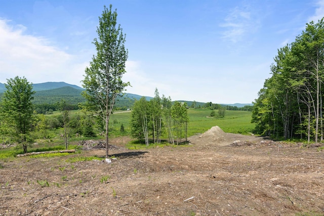 251 White Birch Rd, Morristown, VT 05661