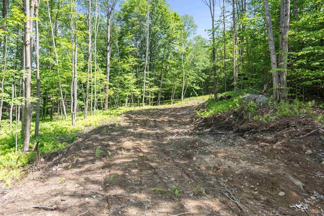 251 White Birch Rd, Morristown, VT 05661