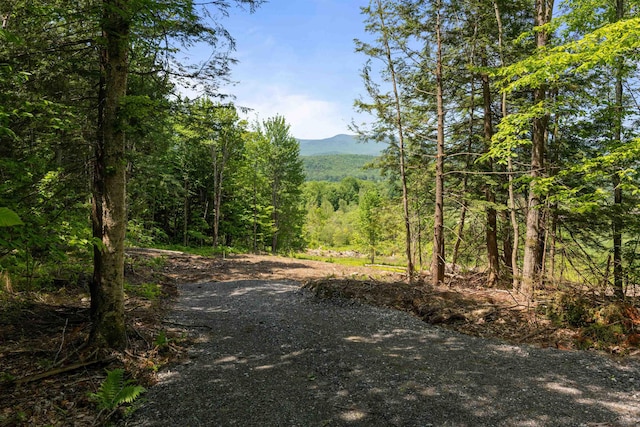 251 White Birch Rd, Morristown, VT 05661