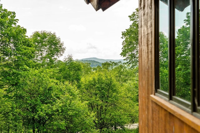 2208-2432 Backway Rd, Corinth, VT 05039 - view of mountain backdrop
