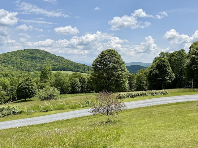 2208-2432 Backway Rd, Corinth, VT 05039 - view of mountain backdrop with a forest