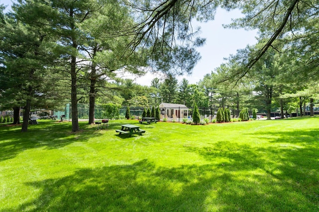 5 Autumn Leaf Dr Unit 24, Nashua, NH 03060 - view of yard