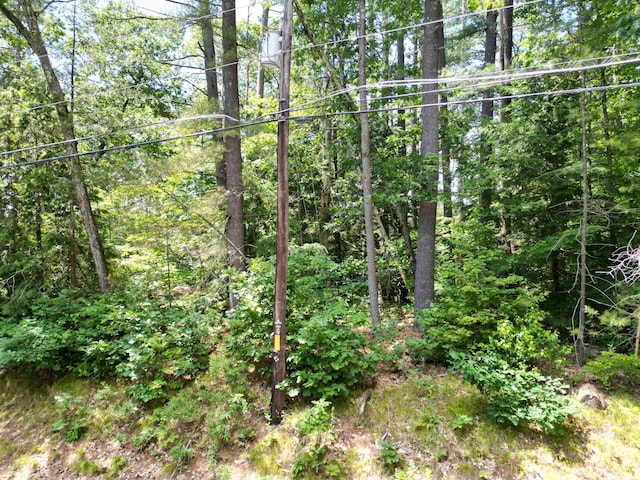 60 Walnut Hill Rd, Derry, NH 03038