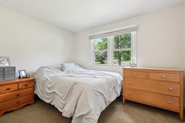 20 Meadow Ln, Atkinson, NH 03811 - bedroom with light colored carpet