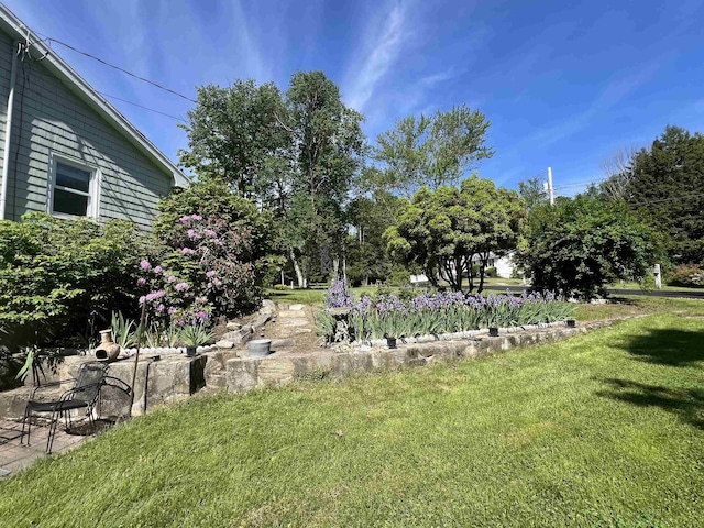 20 Meadow Ln, Atkinson, NH 03811 - view of green lawn