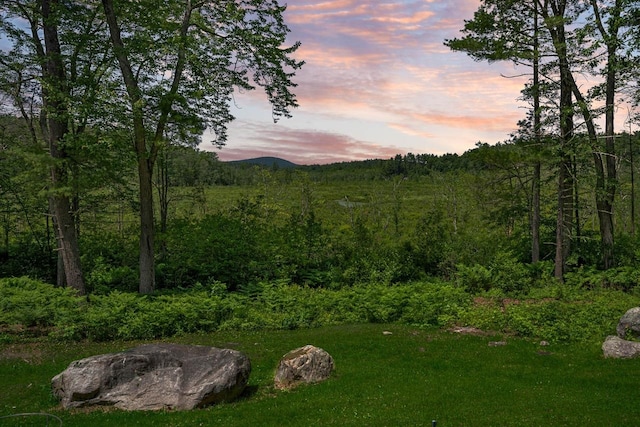 7 Dearborn Ln, Bedford, NH 03110 - yard at dusk with a forest view