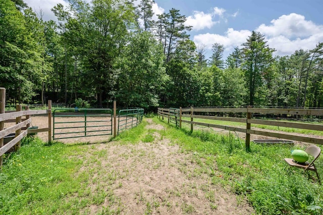 15 Baptist Hill Rd, Canterbury, NH 03224 - view of yard with an enclosed horse arena