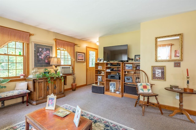 15 Baptist Hill Rd, Canterbury, NH 03224 - carpeted living area with baseboards
