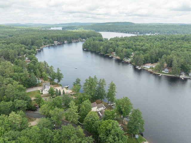 161 Micah Ter, Milton, NH 03851 - aerial view of a heavily wooded area and a nearby body of water