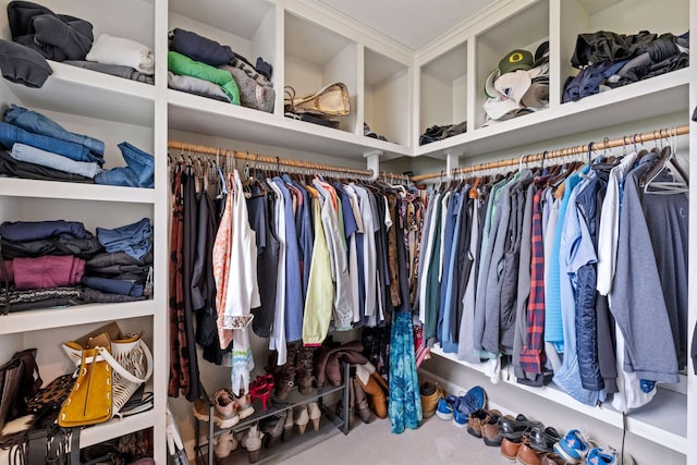 15 Glade Cir, Campton, NH 03223 - spacious closet with carpet