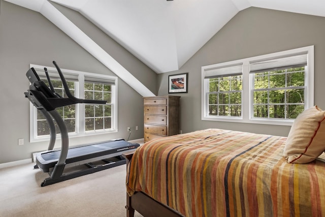 15 Glade Cir, Campton, NH 03223 - bedroom with lofted ceiling and carpet flooring