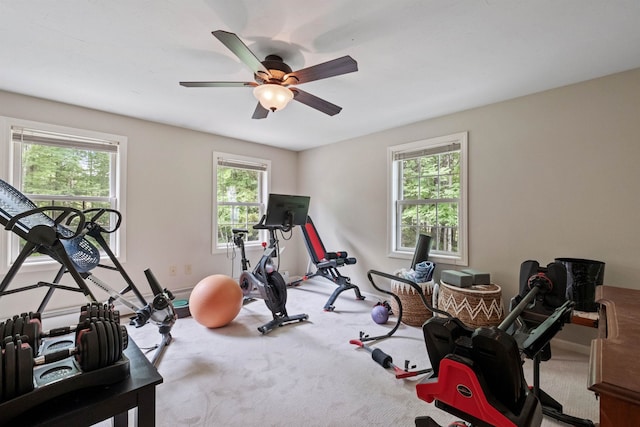 15 Glade Cir, Campton, NH 03223 - workout room featuring plenty of natural light, carpet, and a ceiling fan
