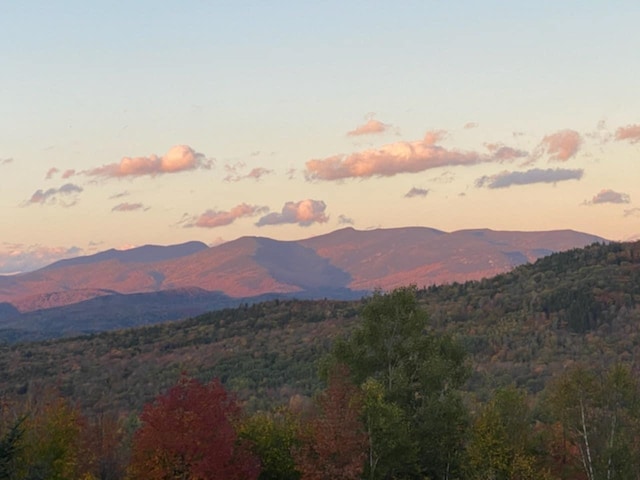 15 Glade Cir, Campton, NH 03223 - view of mountain background featuring a forest