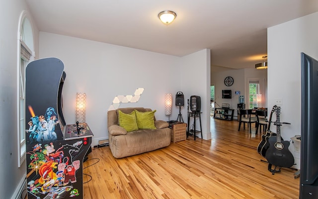 53 Lollypop Ln, Danville, NH 03819 - living room featuring light wood finished floors, a baseboard heating unit, and baseboard heating
