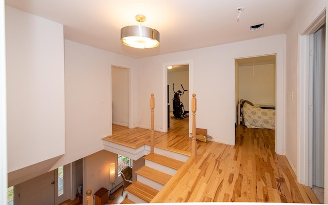 53 Lollypop Ln, Danville, NH 03819 - corridor with light wood finished floors and baseboards