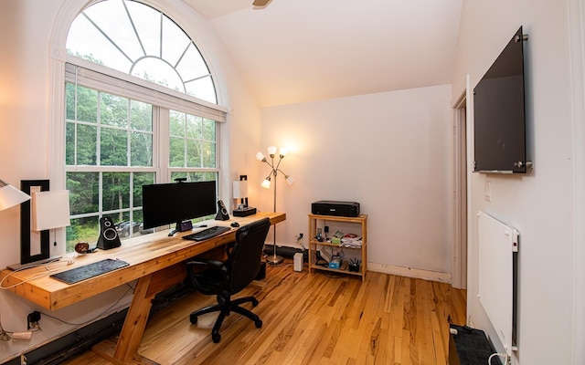 53 Lollypop Ln, Danville, NH 03819 - office with lofted ceiling, light wood finished floors, and radiator