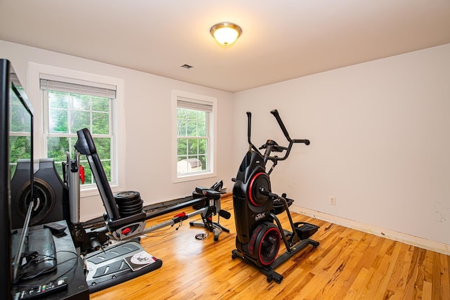 53 Lollypop Ln, Danville, NH 03819 - workout area featuring wood finished floors and plenty of natural light