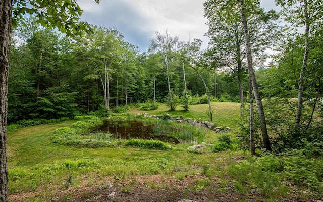 53 Lollypop Ln, Danville, NH 03819 - view of wooded area
