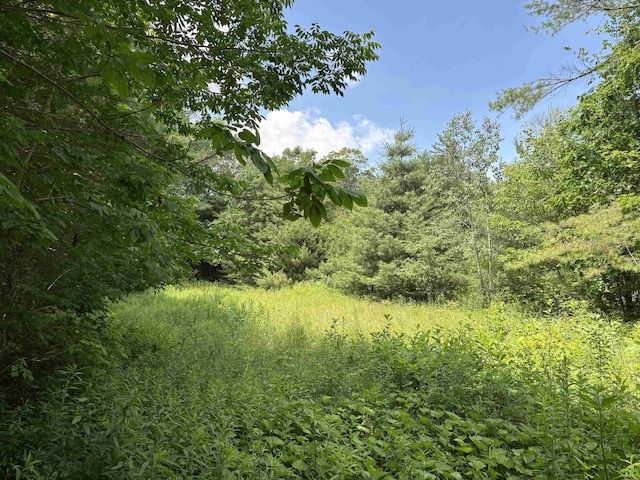 00 Simonsville Rd, Andover, VT 05143