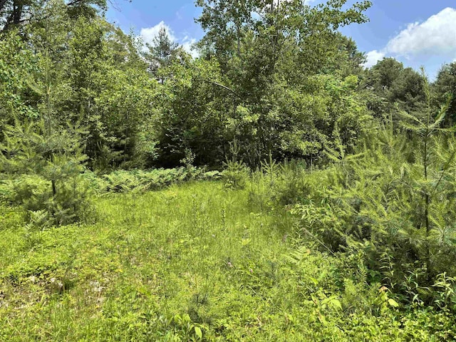 00 Simonsville Rd, Andover, VT 05143