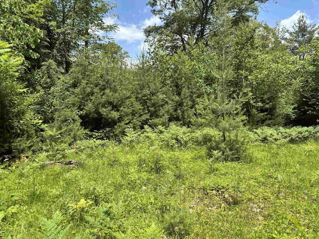 00 Simonsville Rd, Andover, VT 05143